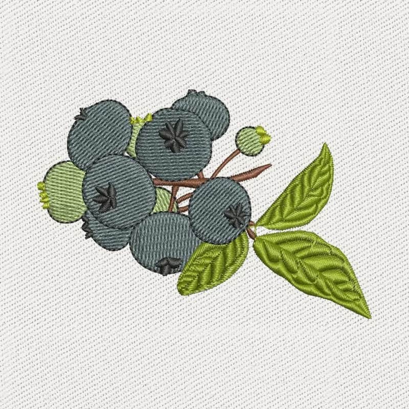 Arándano