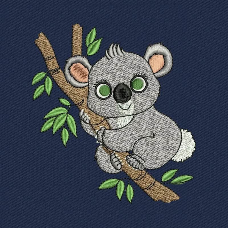Koala adorable