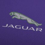 Jaguar-1_8029de13-8cc9-4035-b06a-d6a09f4a193e