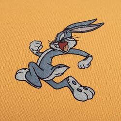 Looney Tunes Embroidery Designs